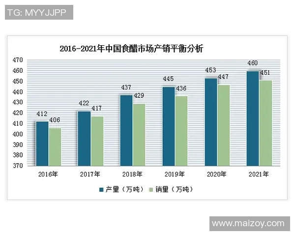 杭州羽毛球队的控制策略与发展前景深度解析